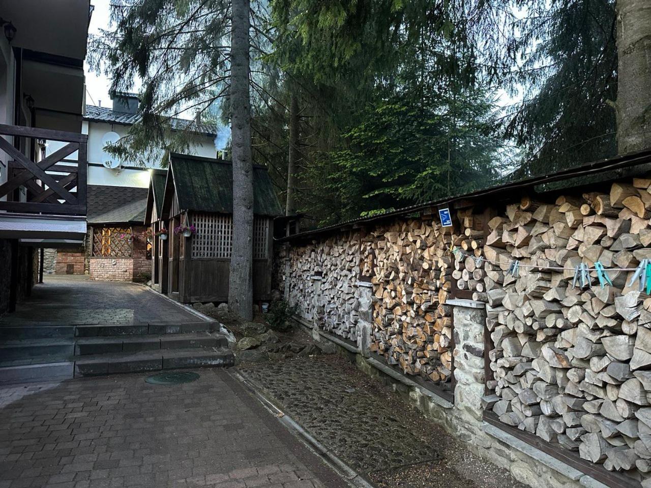 Alpiyskiy Yablunytsya Extérieur photo