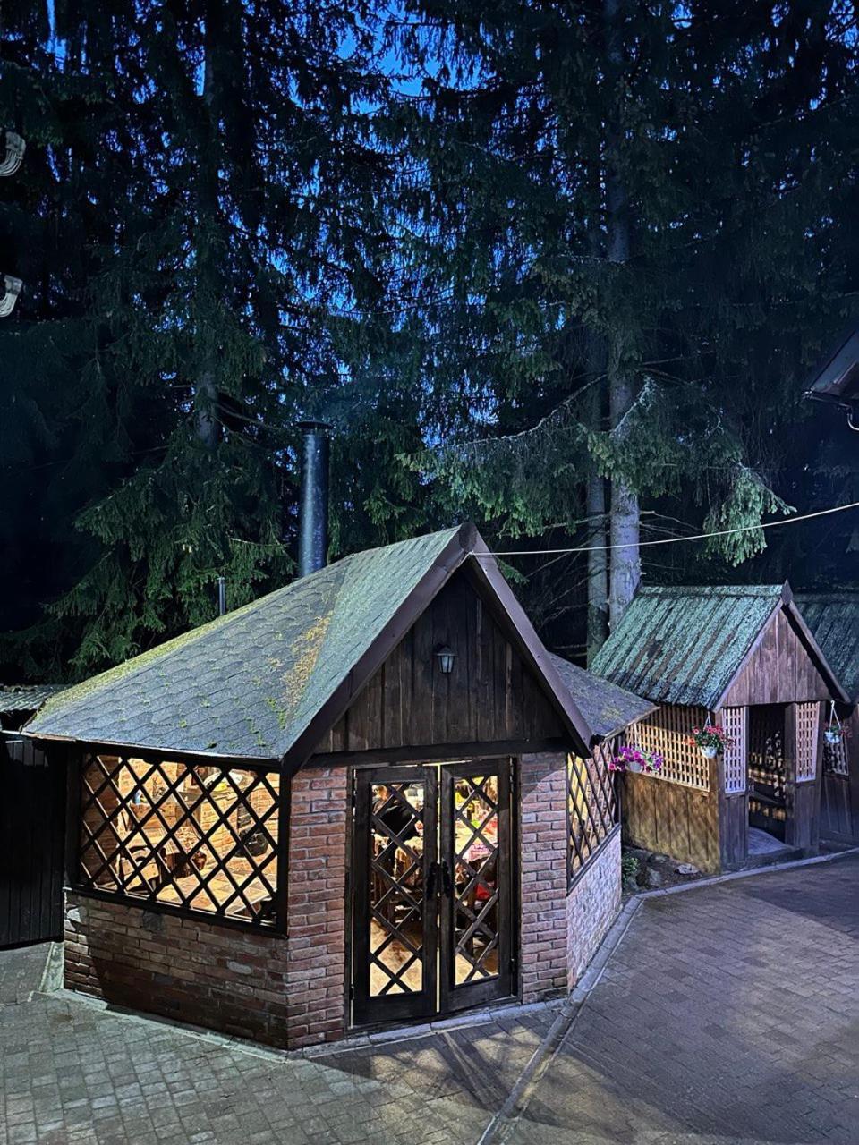 Alpiyskiy Yablunytsya Extérieur photo